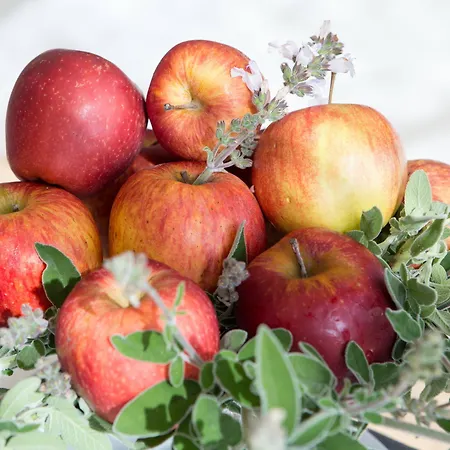 Aegila Boutique Hotel Exo Nimfion