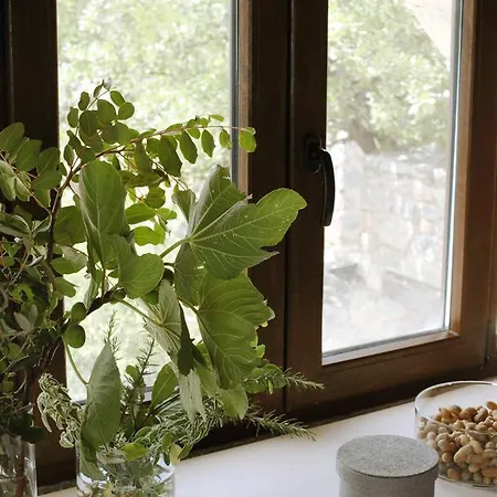 Aegila Boutique Exo Nimfion